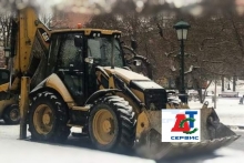 cat_434